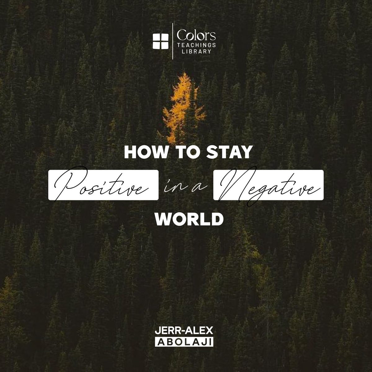Cover of the teaching How To Stay Positive in a Negative World
