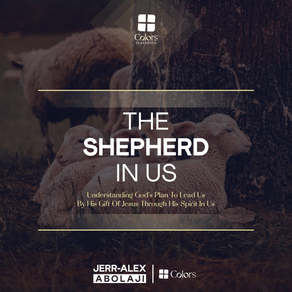 Cover of the teaching The Shepherd in Us